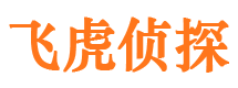 鸡西侦探